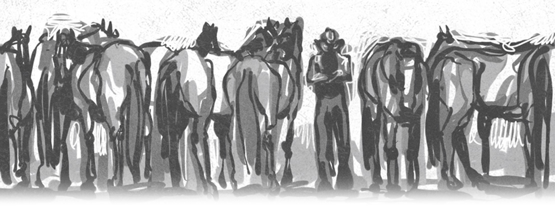 image of horses in group